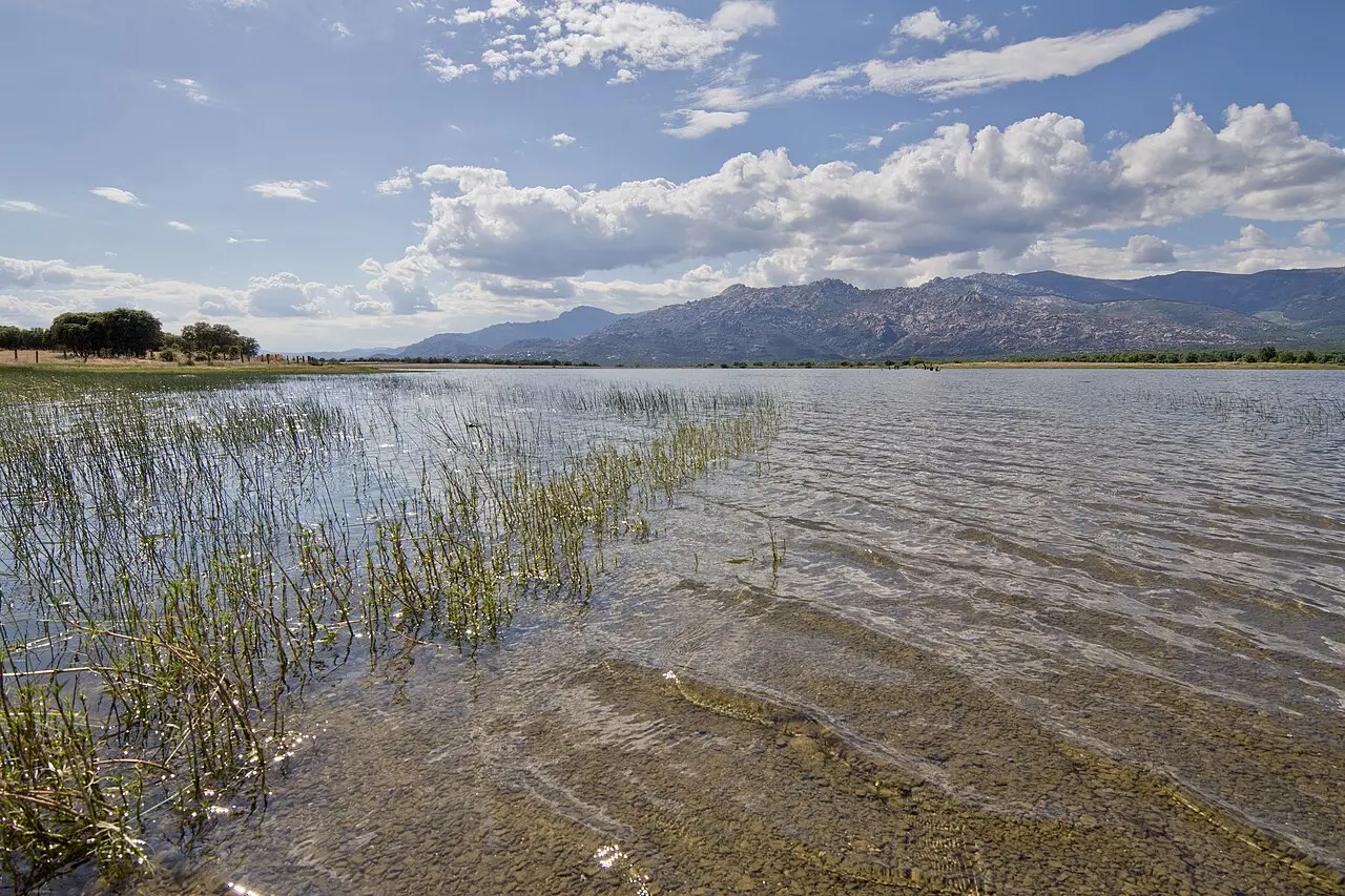 Embalse de Santillana con La Pedriza al fondo