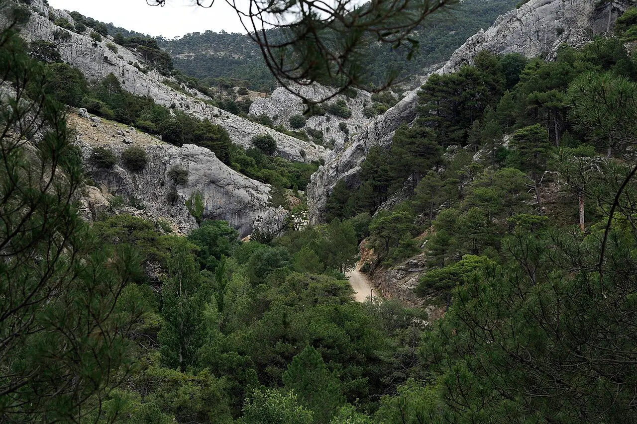 Valle del Alto Guadalquivir en la Sierra de Cazorla